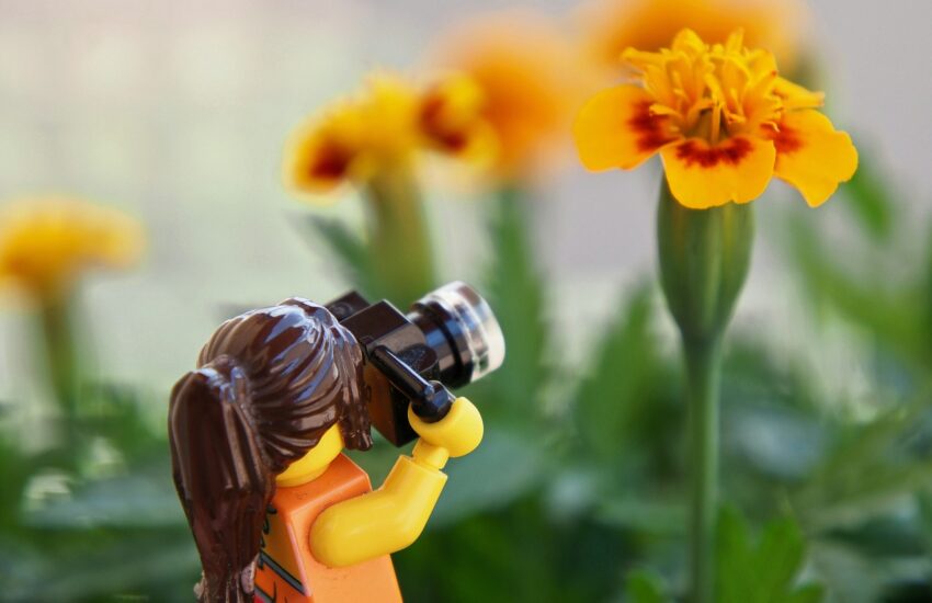 Ludzik LEGO robi zdjęcie dla kwiatów
